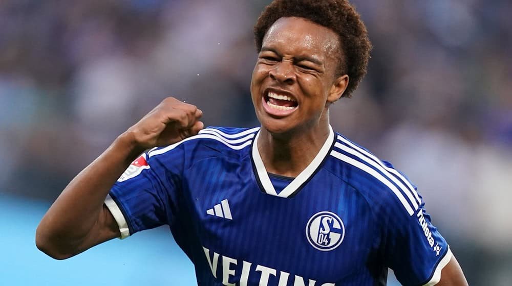 Schalke 04 News